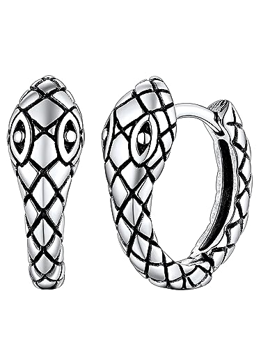FaithHeart Edelstahl Schlange Ohrstecker für Jungen Herren, Punk Gotik Schlangen Ohrringe, Kleiner Creolen Ohrstecker für Geburtstag Valentinstag
